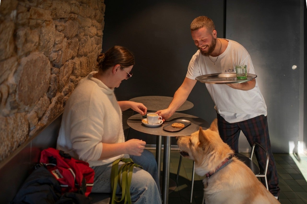 Soletes en Galicia para no dejar a tu perro en casa